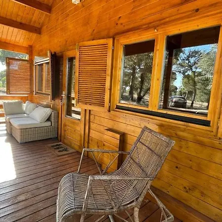 Wooden House - Monte Da Cortica Aguas de Moura